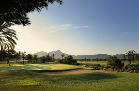 5* La Finca Resort